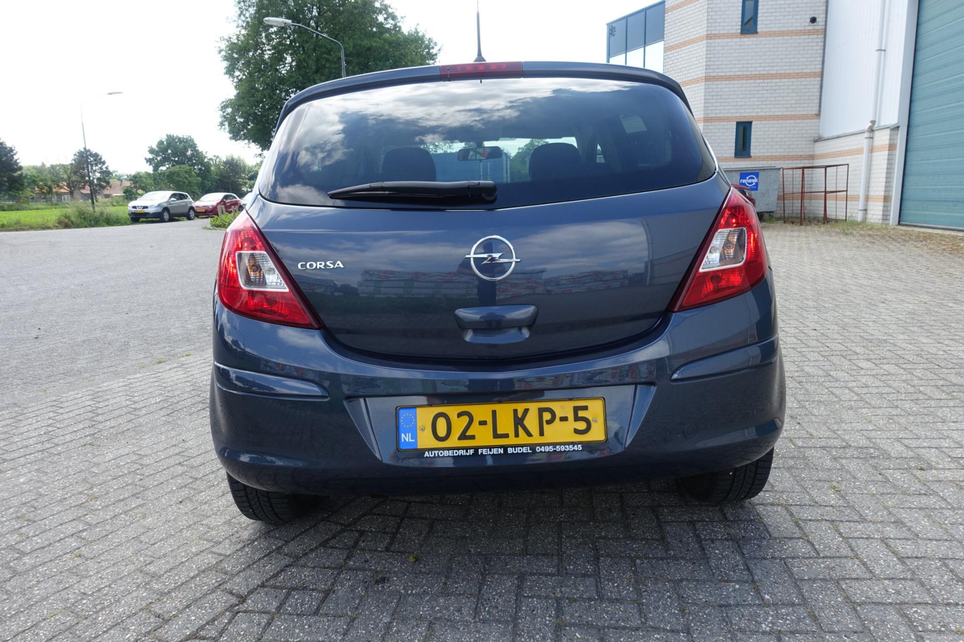 45585822-6.jpg