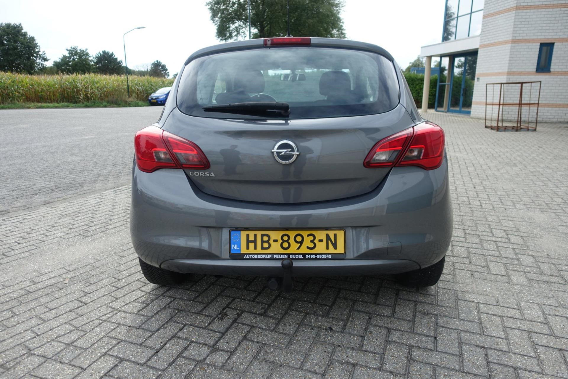 47874077-6.jpg