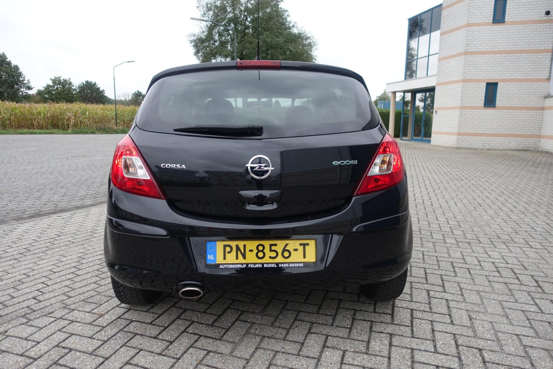 48137000-6.jpg
